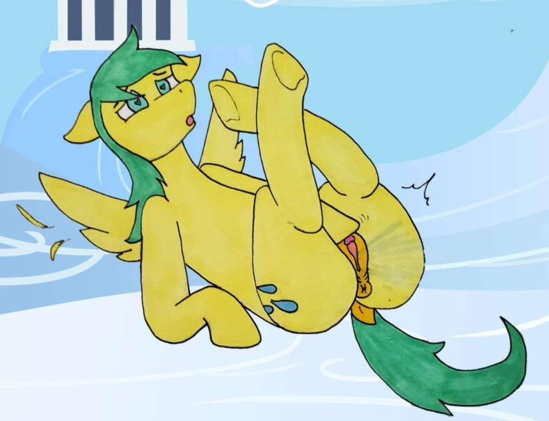 Squorse Squorse