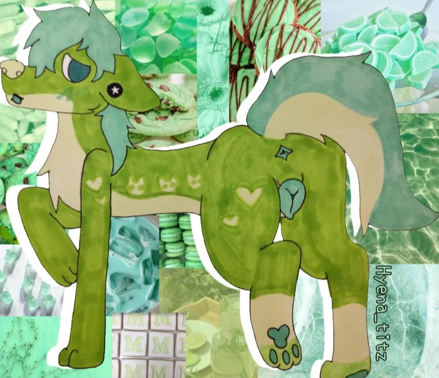 Midori Midori