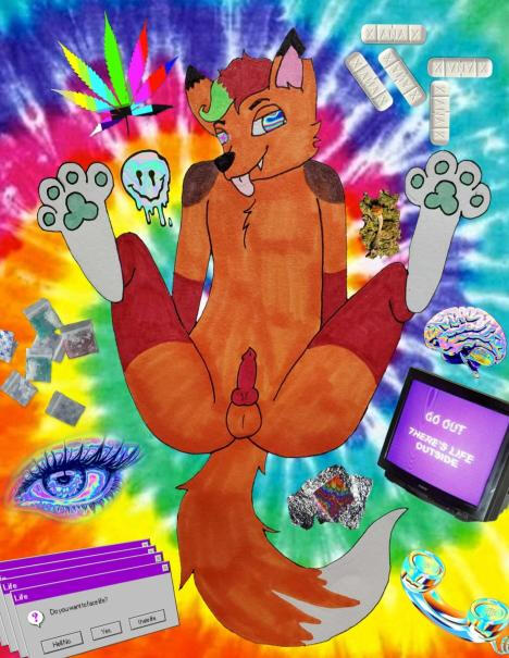 Knot Out Paws Up Knot Out Paws Up
